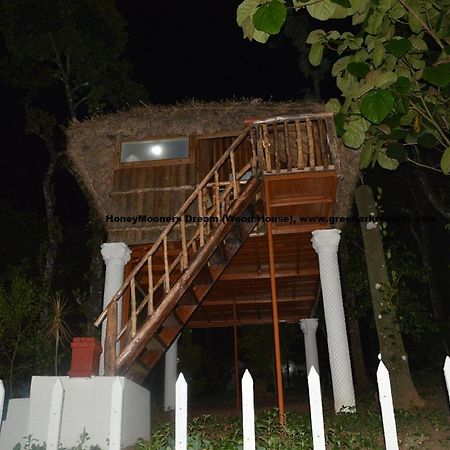 Green Ark Resorts Thekkady Quarto foto